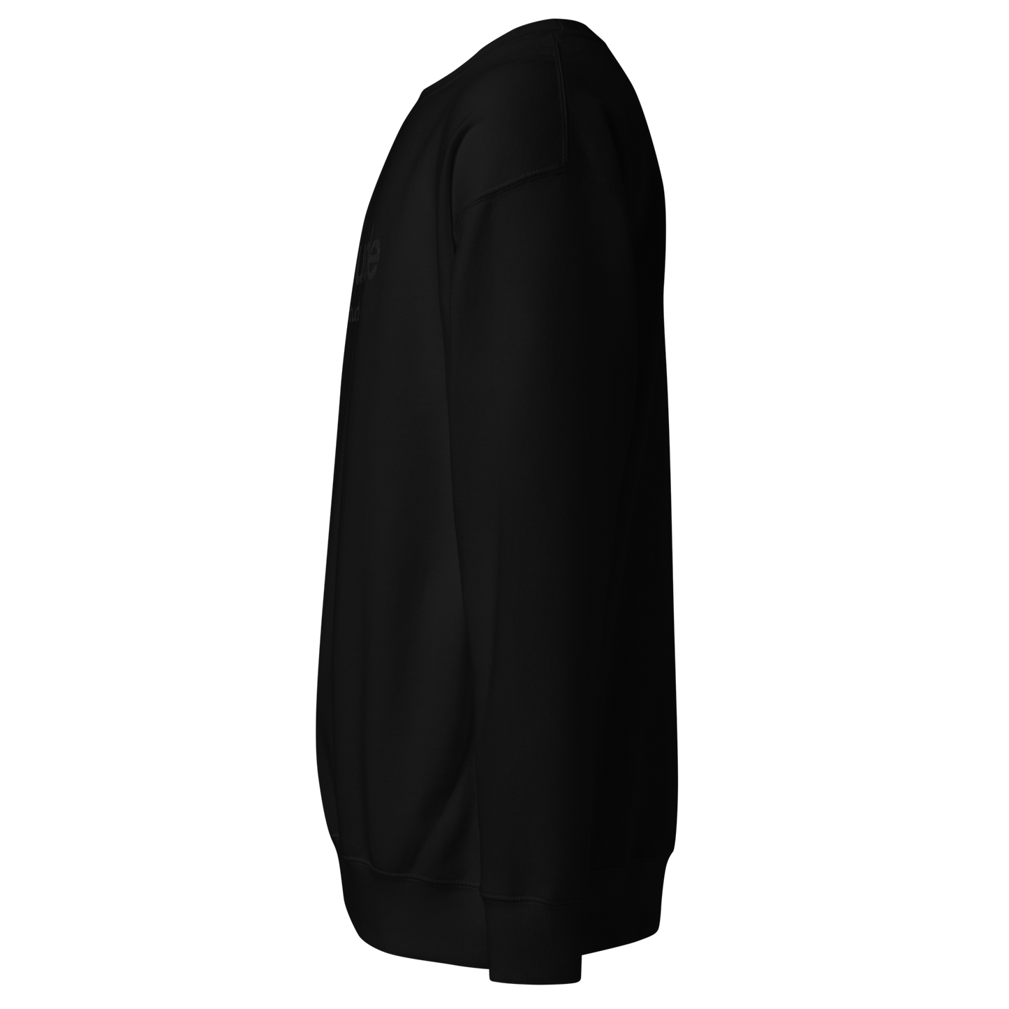 041_Sweat unisexe premium_Latitude