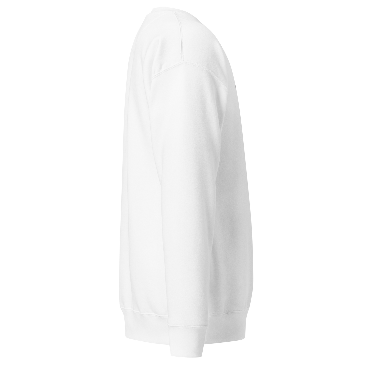 030_Sweat unisexe haut de gamme